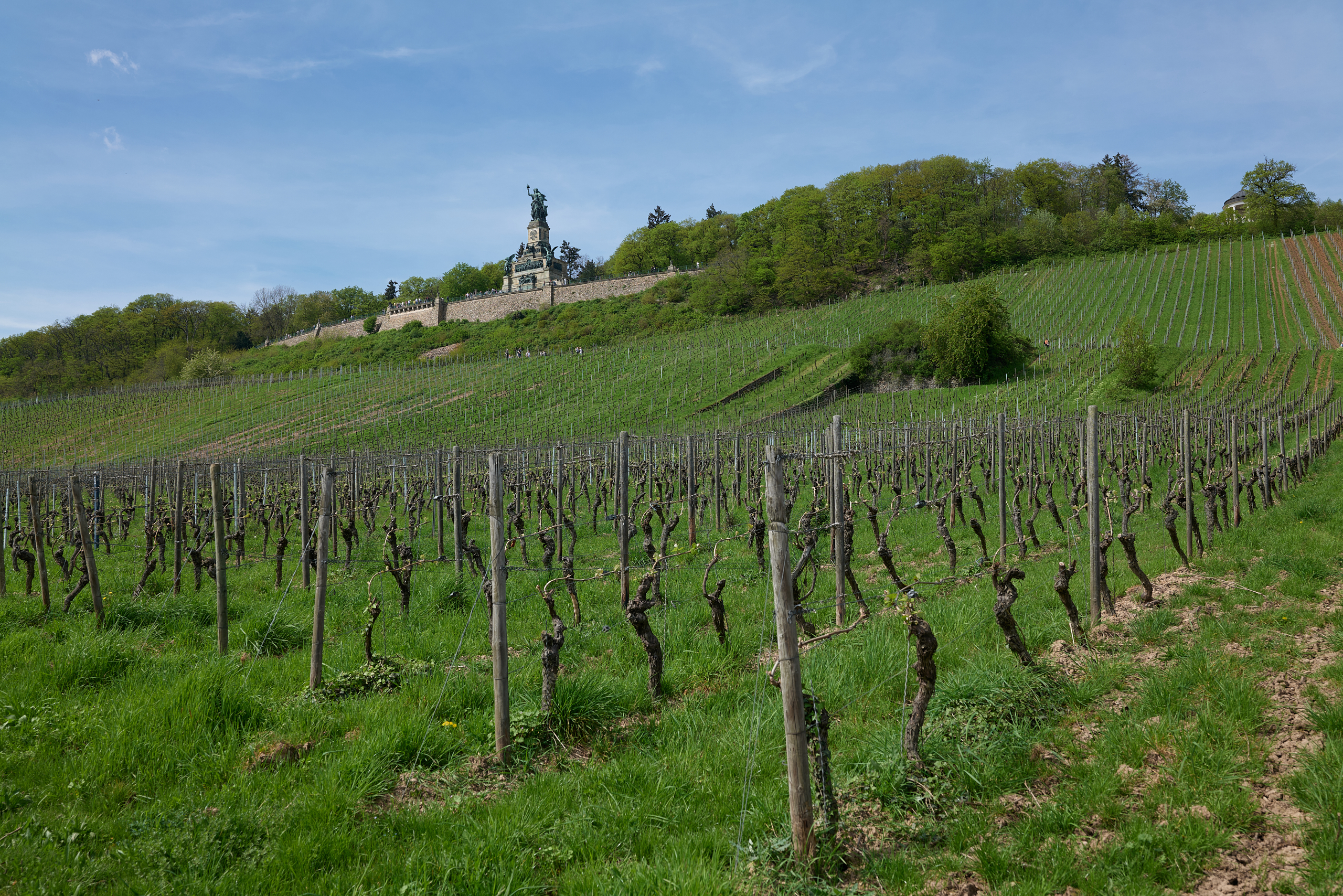 Die Germania - Das Niederwalddenkmal 39 peb 3774