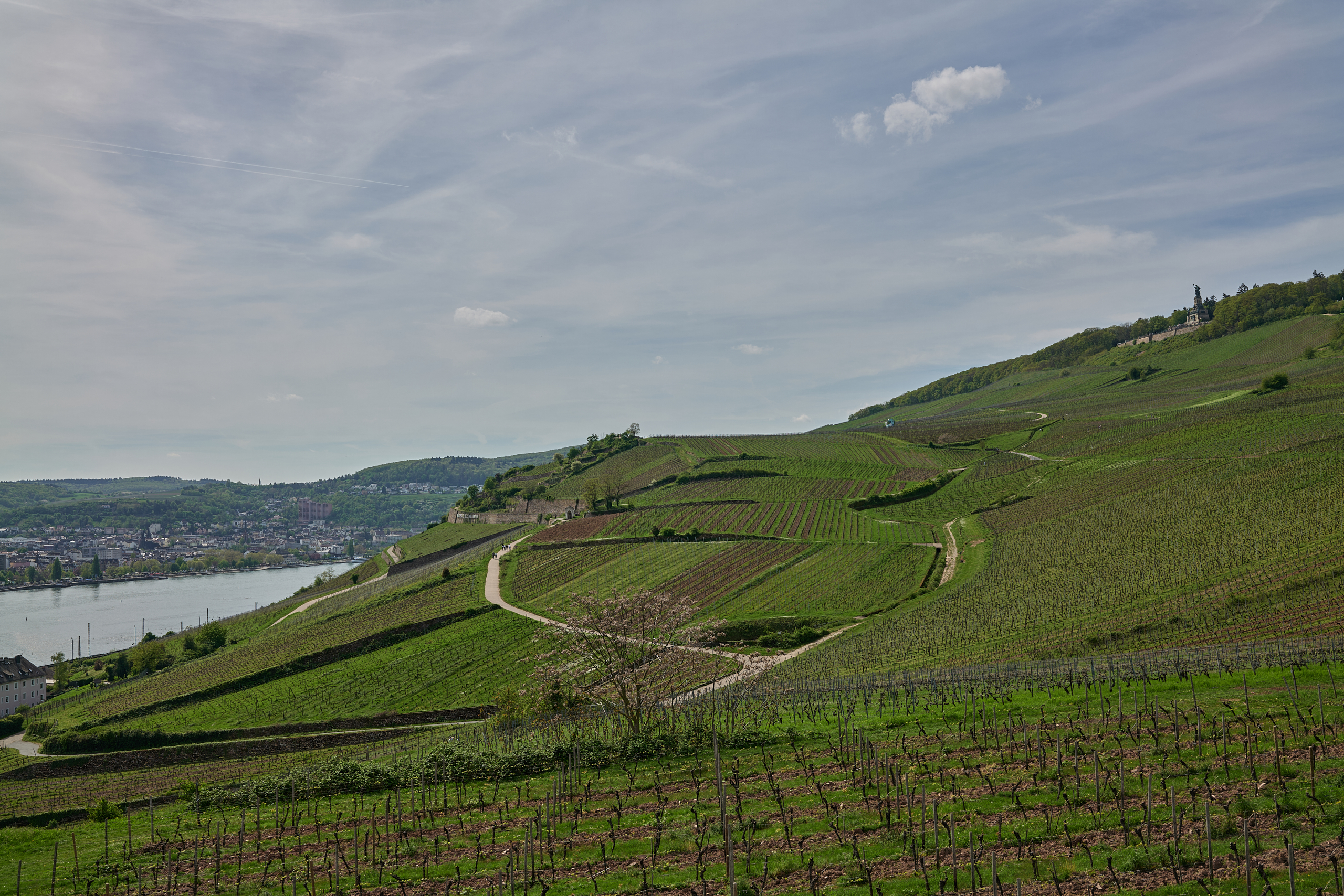Die Germania - Das Niederwalddenkmal 31 peb 3791